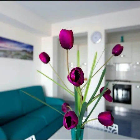 Trinacria Apartment Alcamo Marina